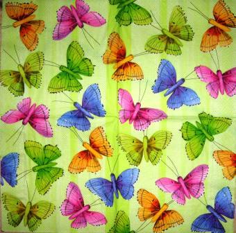 Papillons multicolores fond vert