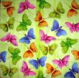 Papillons multicolores fond vert