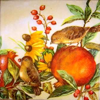 Les oiseaux mangent les fruits