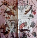 Beaux oiseaux sur les branches fleuries