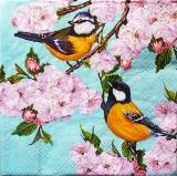 2 oiseaux sur les branches fleuries