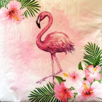 Flamand rose dans les hibiscus