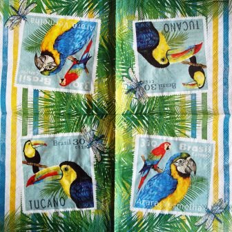 Perroquets et toucans