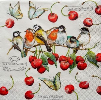 Les oiseaux et les cerises