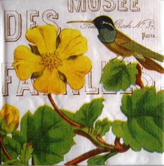 Oiseau colibri et hibiscus jaune