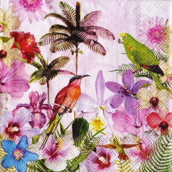 Oiseaux et fleurs exotiques