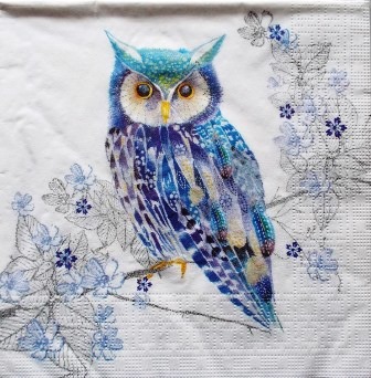 Magnifique hibou bleu