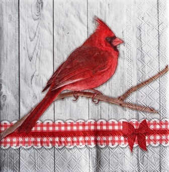 Bel oiseau cardinal rouge