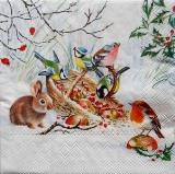 Oiseaux et lapin mangent des fruits