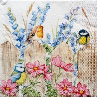 Oiseaux et fleurs du jardin