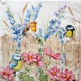 Oiseaux et fleurs du jardin