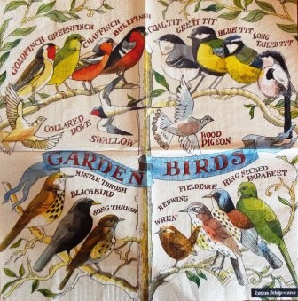 Multiples oiseaux variés
