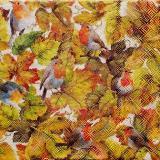 Rouge-gorges dans feuilles d'automne