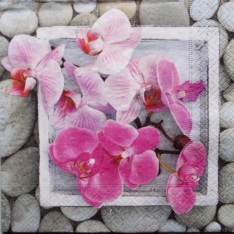 Orchidée dans un cadre, tour galets