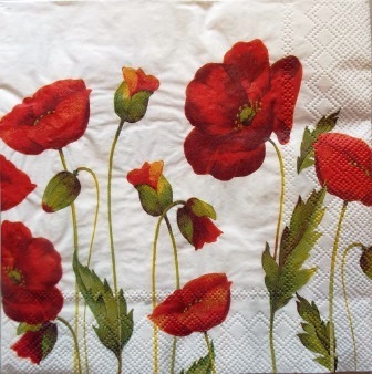 Coquelicots variés