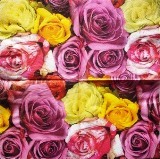Roses multicolores