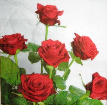 Jolies roses rouges