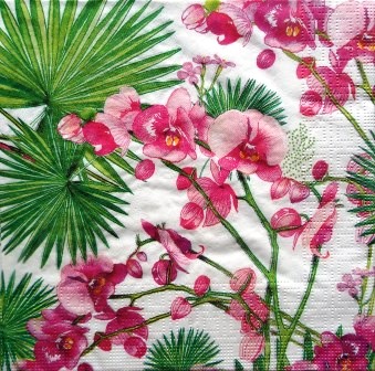 Orchidées roses et feuilles de palmier