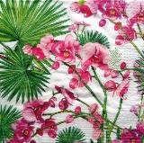 Orchidées roses et feuilles de palmier