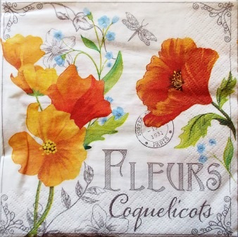 Coquelicots et myosotis sur fioritures