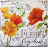 Coquelicots et myosotis sur fioritures
