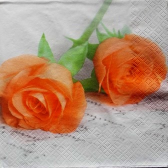 Belles roses oranges sur partition
