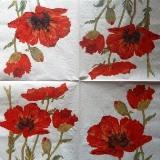 Coquelicots sur fond blanc