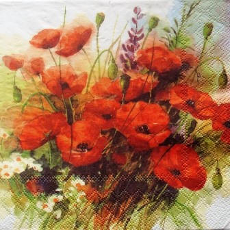 Beau bouquet de coquelicots