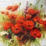 Beau bouquet de coquelicots