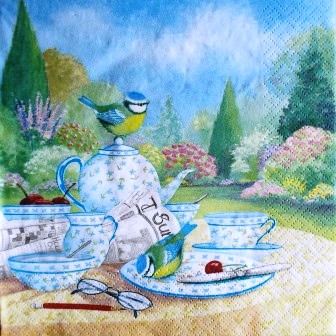 Petit déjeuner champêtre avec les oiseaux