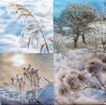 Paysages d'hiver, arbres givrés