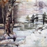 Beau paysage d'hiver avec petit pont
