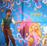 Princesse Raiponce et son prince