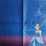 Cendrillon fond bleu et violet GM