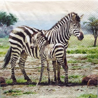 Maman et bébé zèbre dans la savane