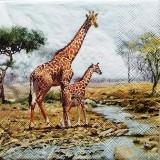 Maman et bébé girafe dans la savane