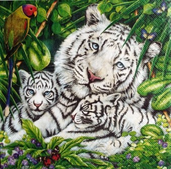 Maman tigre blanc et ses petits