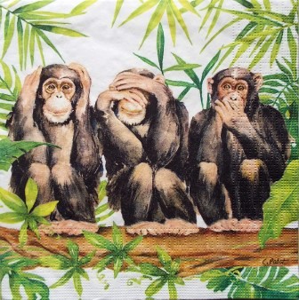 Les 3 singes de la sagesse