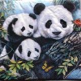 Maman panda et ses bébés