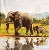 Maman et bébé éléphant au bord de l'eau
