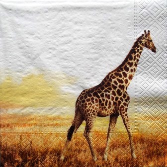 Belle girafe dans la savane