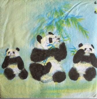 Famille de pandas