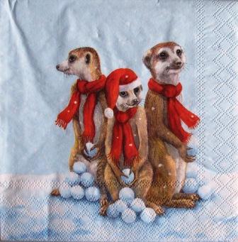 Suricates de Noël aux boules de neige