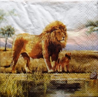Bébé lion et son père dans la savane