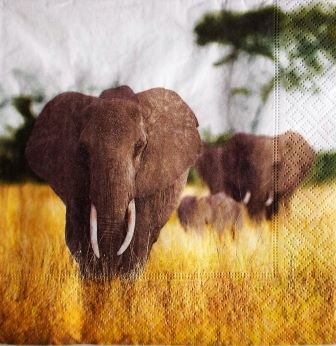 La promenade des éléphants