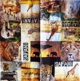 Safari : lion, girafe, léopard, éléphants...