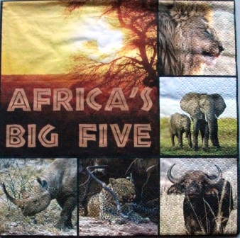 Lion, éléphant, buffle, léopard, rhinocéros