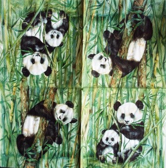 Les pandas dans les bambous