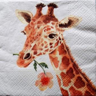 La girafe à la fleur