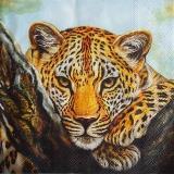 Tête de léopard sur la branche